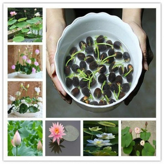 8851